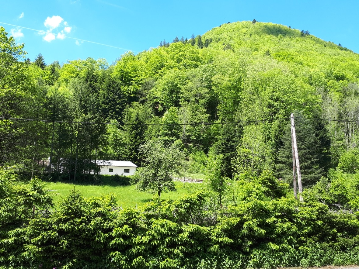 Gîte Keiko en été dans le parc naturel du Balon des Vosges en Alsace