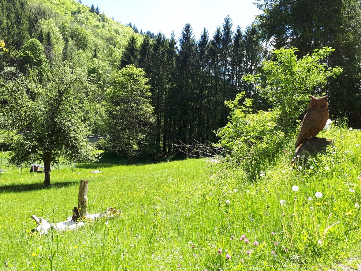 Extérieur du Gîte Keiko en été dans le parc naturel du Balon des Vosges en Alsace
