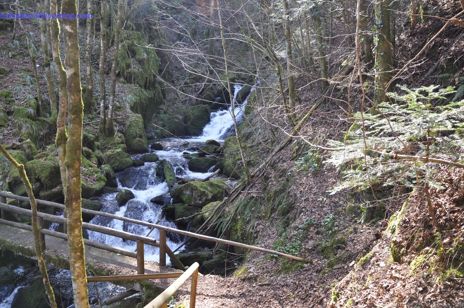 Cascade Saint Nicolas dans le parc naturel du Balon des Vosges